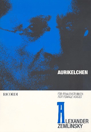 klavierhaus-bockelmann-4449661