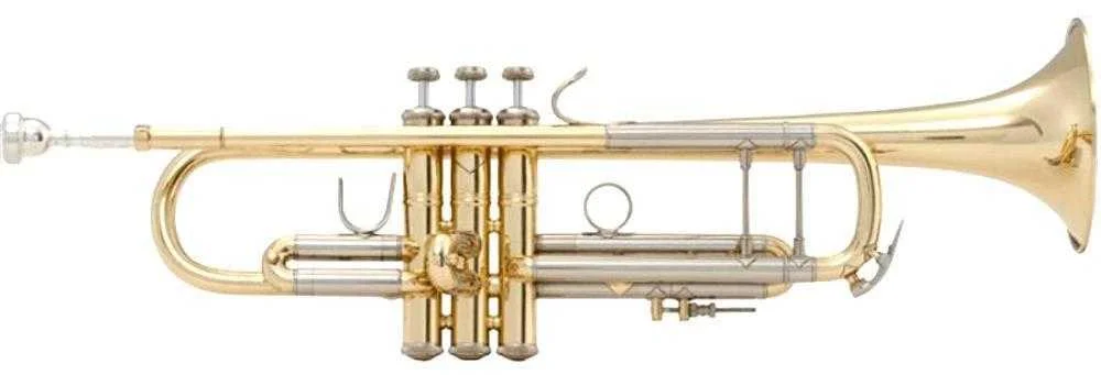 musik-wittl319100