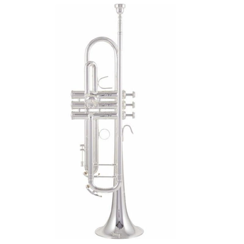 musik-wittl334396