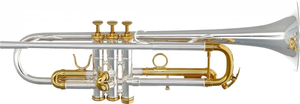reisser-musik-41765792