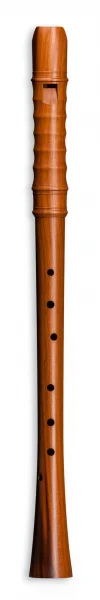 reisser-musik-4930466