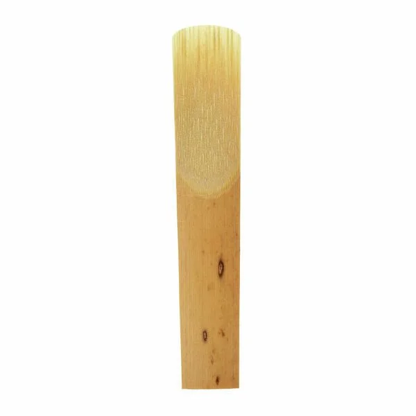 thomann-1237608