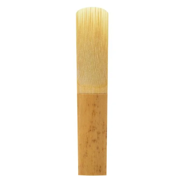 thomann-1237975
