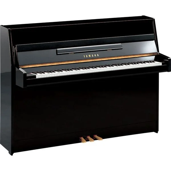 thomann-1309994