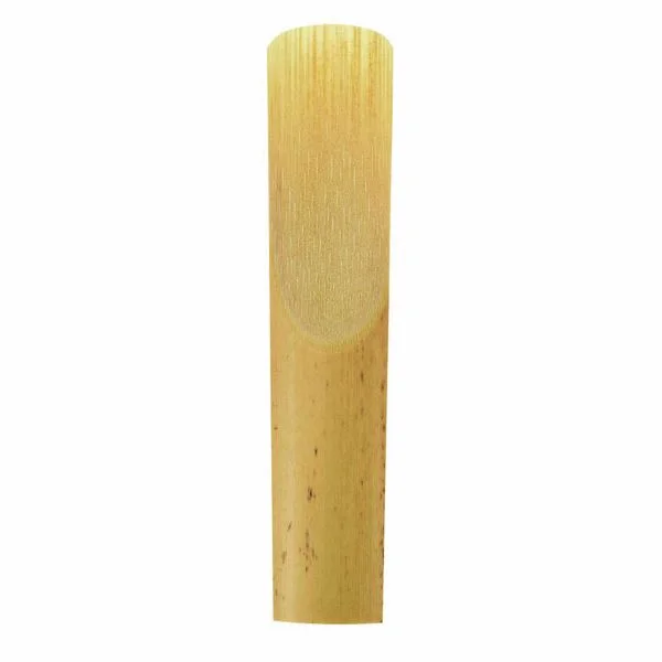 thomann-1695075