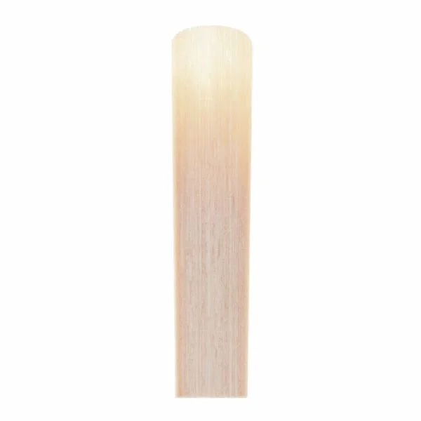 thomann-1873068