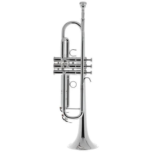 thomann-3196306