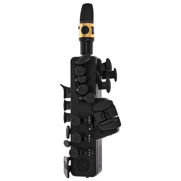 thomann-3520211