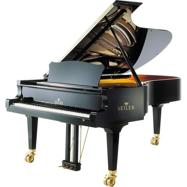 thomann-3690367